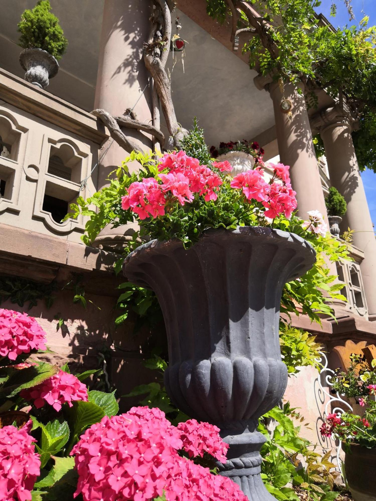 Hotel Castelnau Colmar Habitación foto